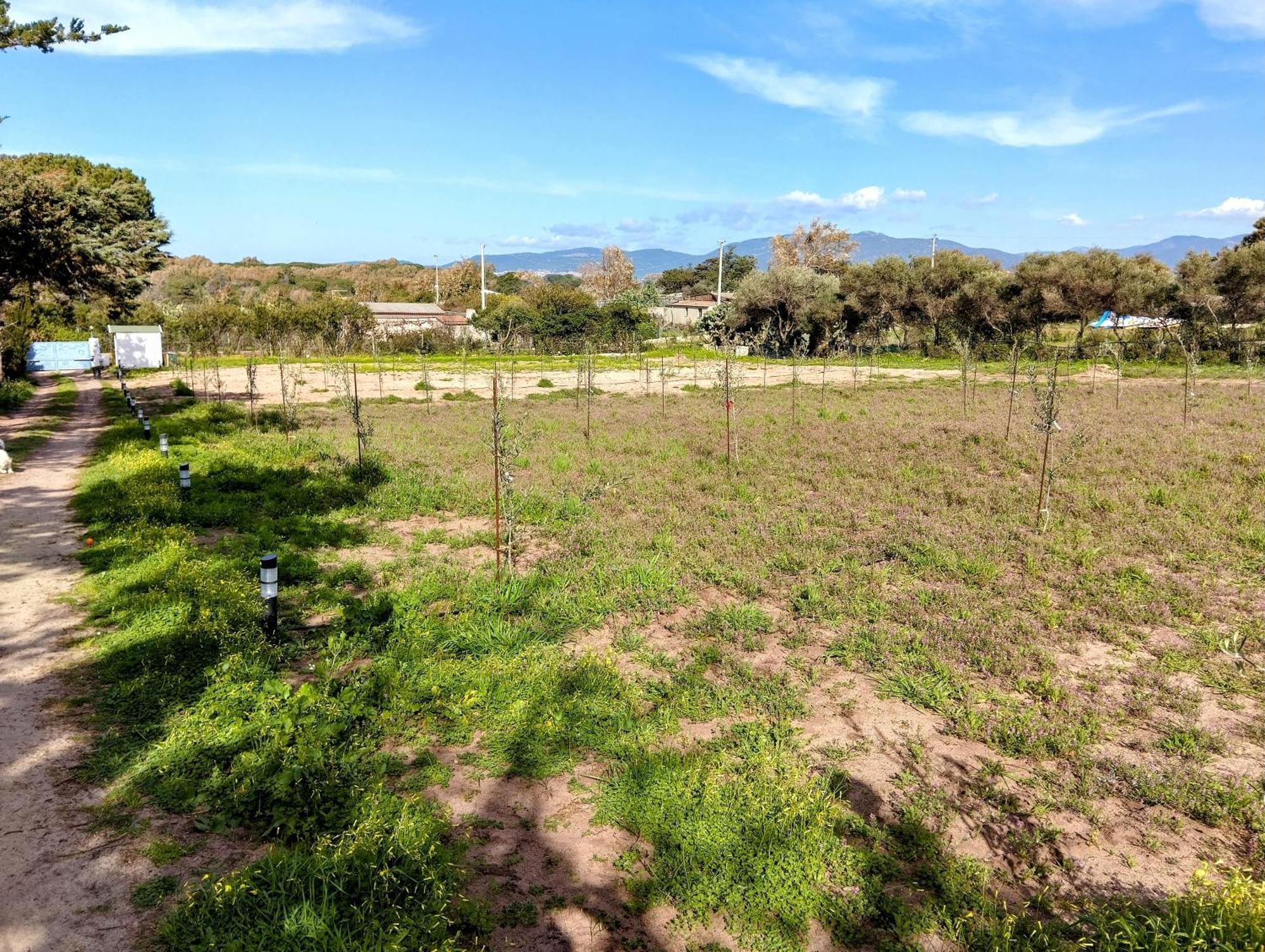 Terra Valledoria (Sardinia) Exterior foto