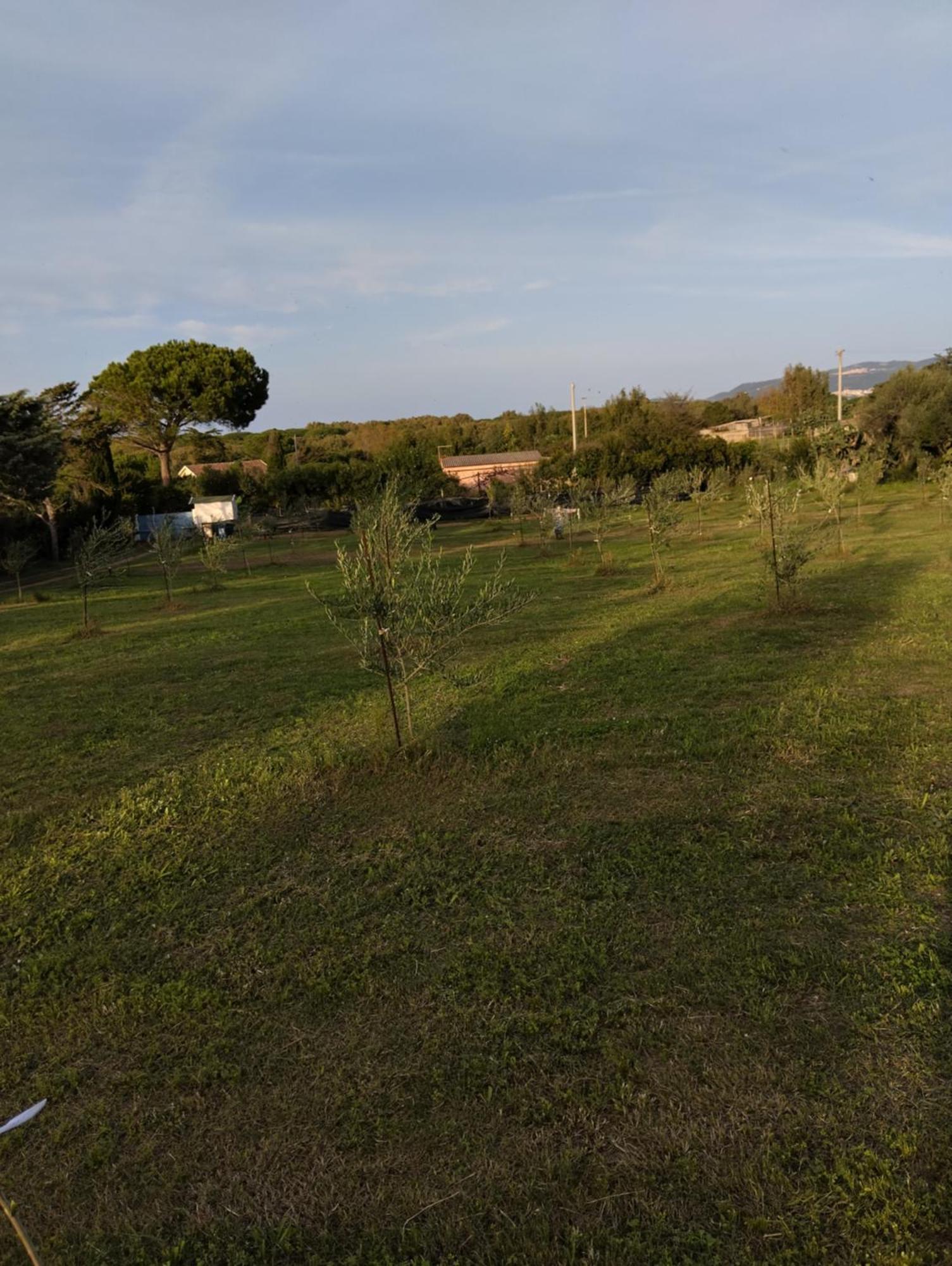 Terra Valledoria (Sardinia) Exterior foto